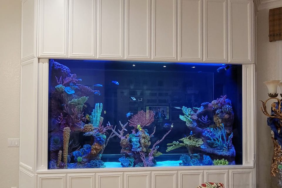 Aquarium