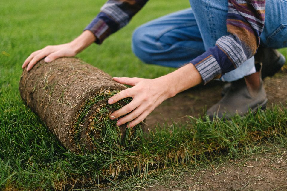 Lawn maintenance