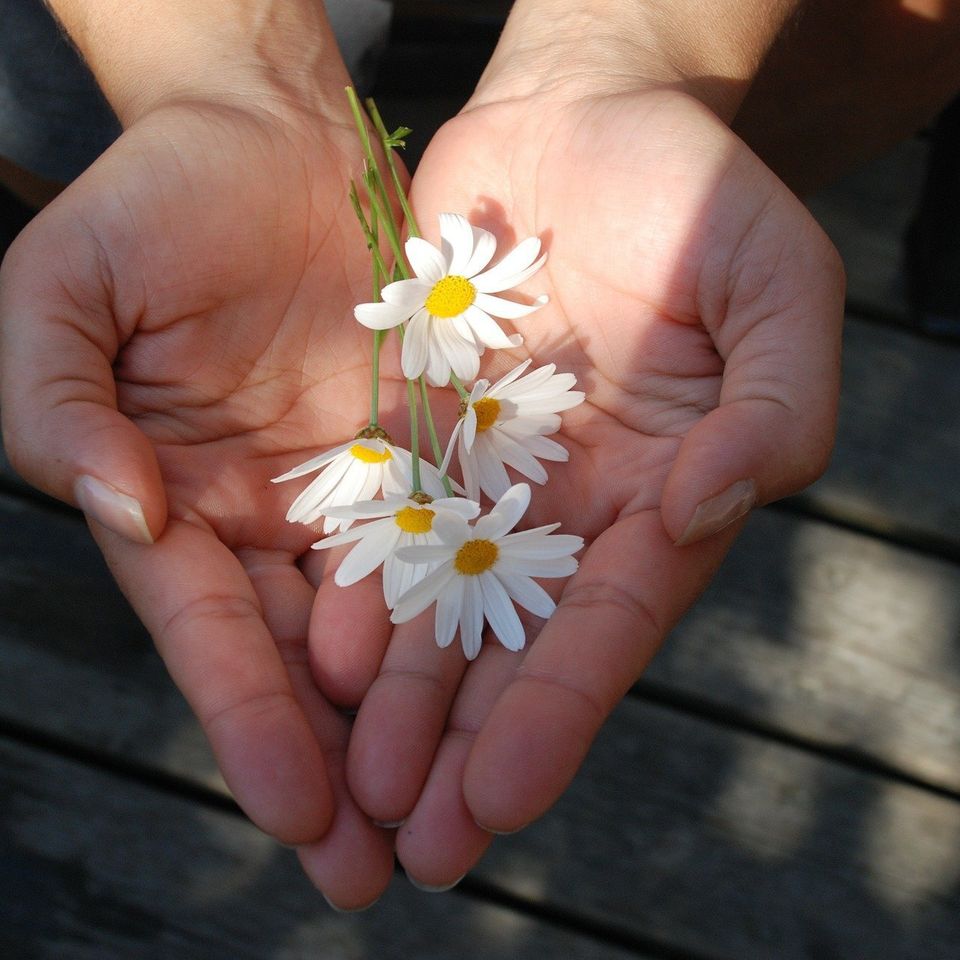 Flower g76f520a90 1920