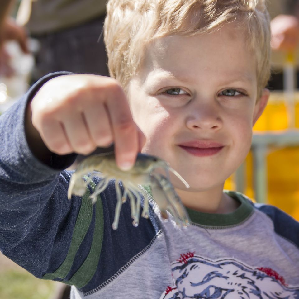 Fishing derby 2017 9
