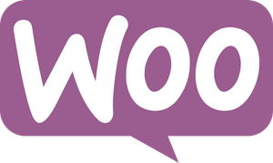 Woocommerce.1024x610