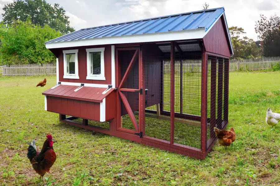 Red Quaker chicken coop with blue metal roof, nesting box and run in Knoxville TN