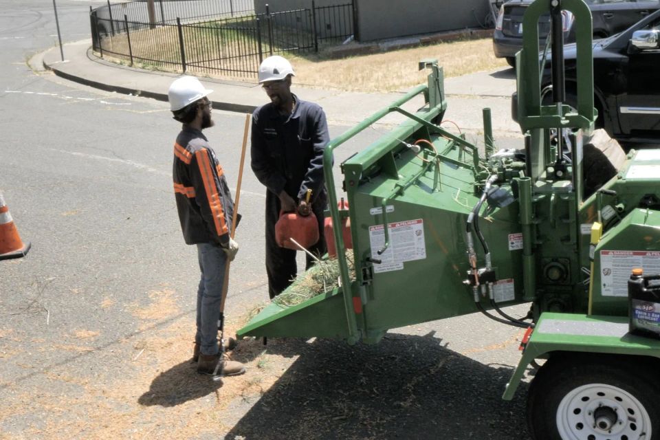 A blessing tree service 2694 action shot 5