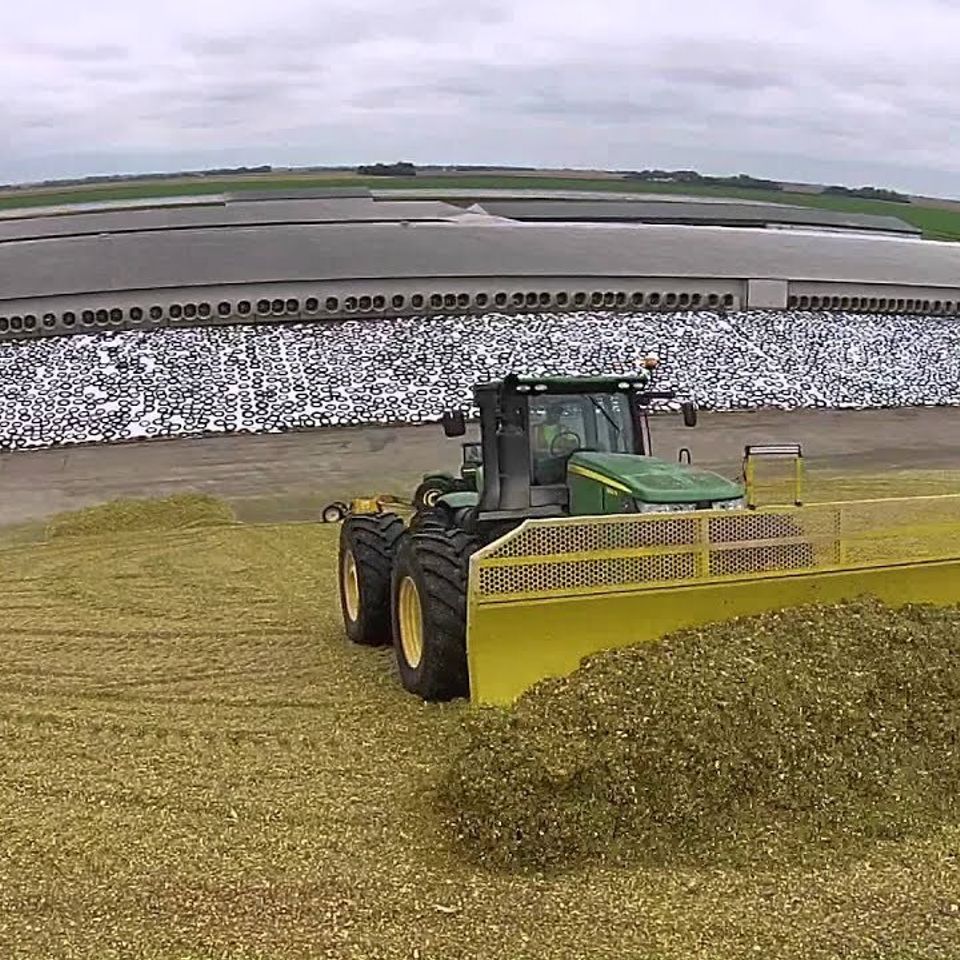 Forage seeds and harvest - ECS Eastern Colorado Seeds