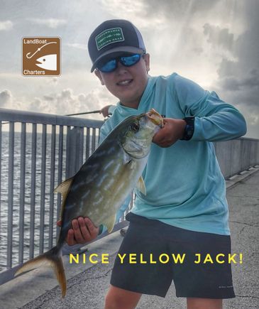 Yellow jacket