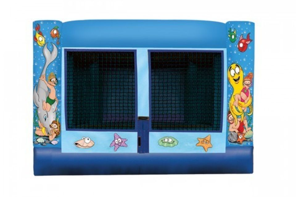 Small under the sea moonbounce20161108 8074 nb0g38