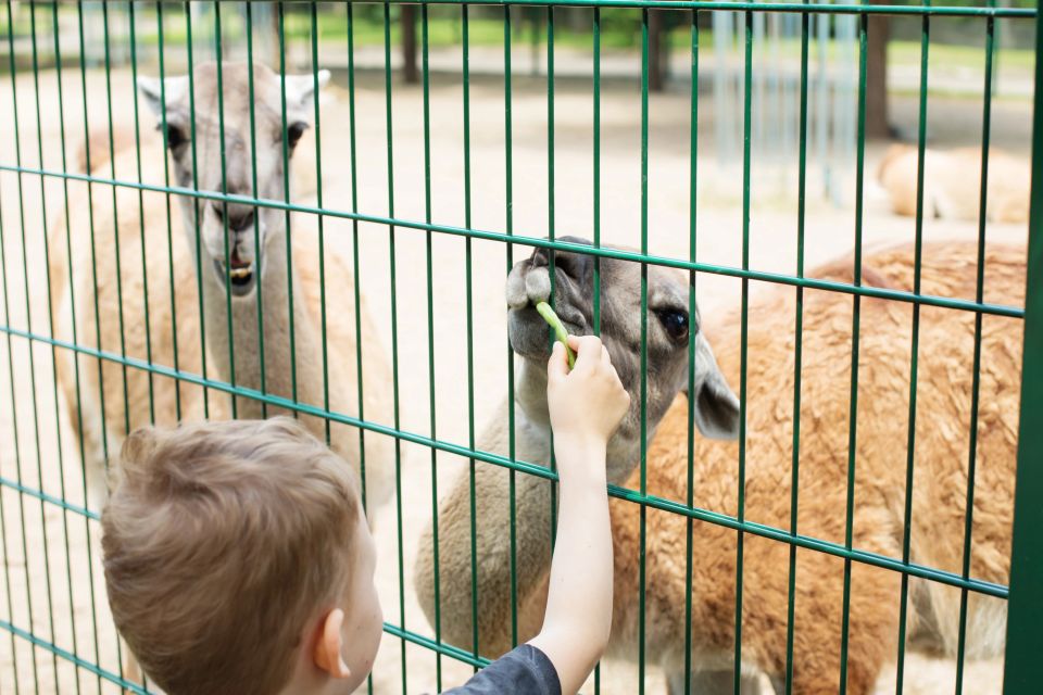 Web design for mobile petting zoos by Cannone Marketing.