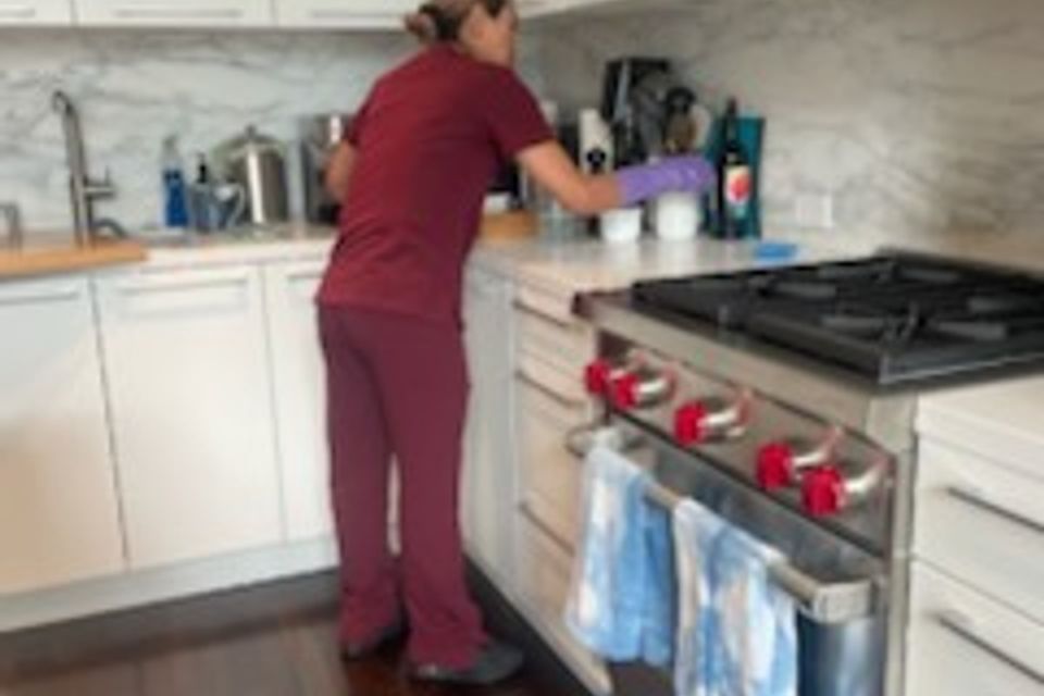 Img 1548