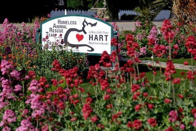 Hart sign