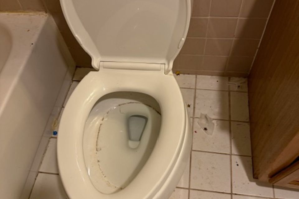 Img 2169