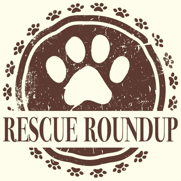 Rescue roundup logo20170419 16387 xuowwb
