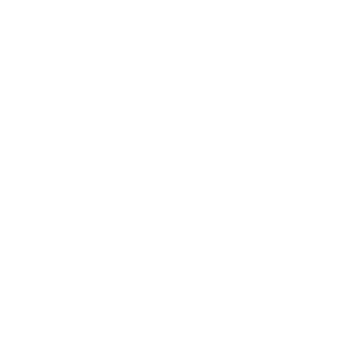 Ray's Kitchen