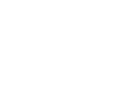 The Law Office of Carlos Johnson