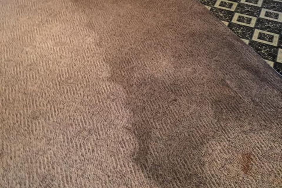 Jones carpet clean image10