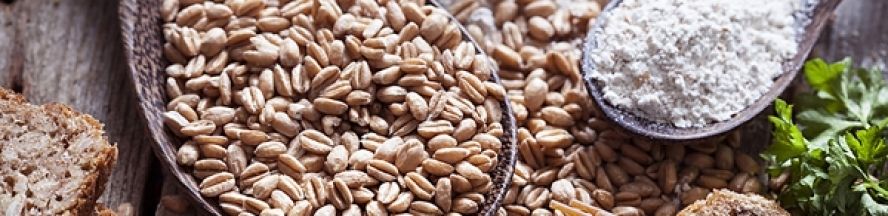 888x216 1522698913grains1istock615835094600x30020180406 1553 1grsnp5