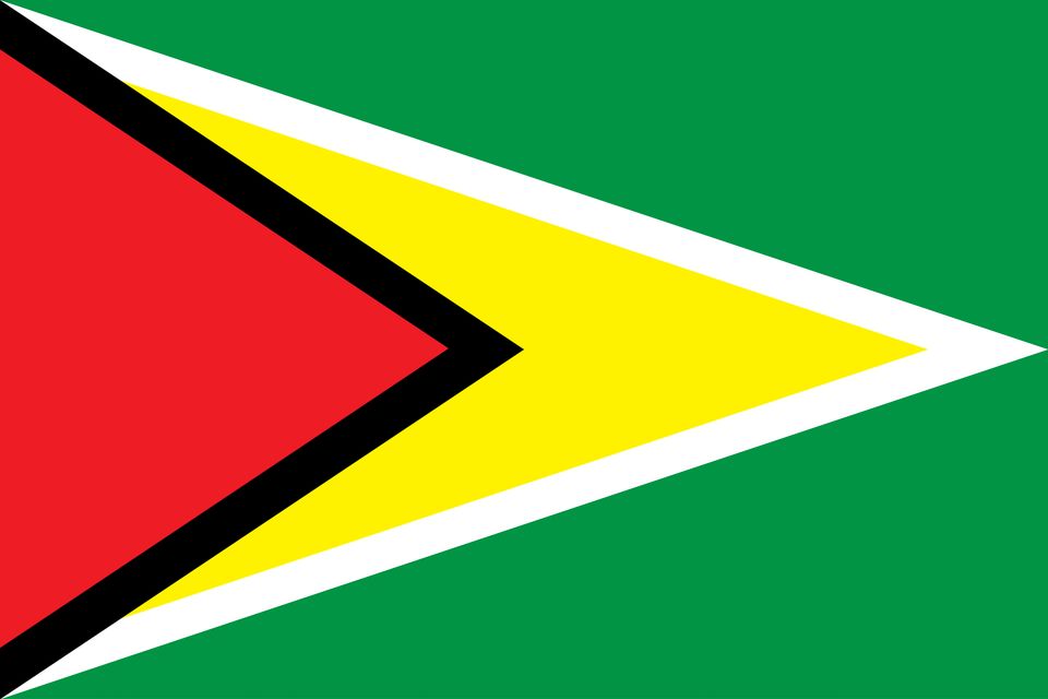 Gy flag