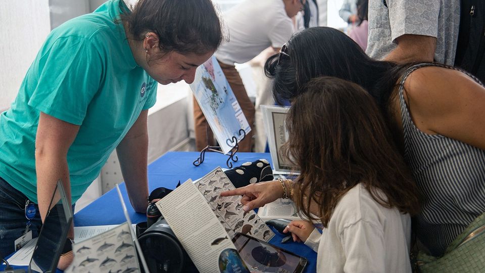World ocean day