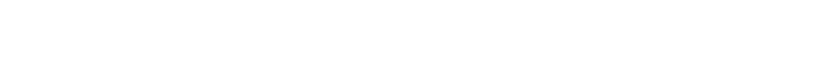 Dura-Docks