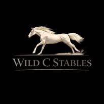 Wild C Stables and Mustangs
