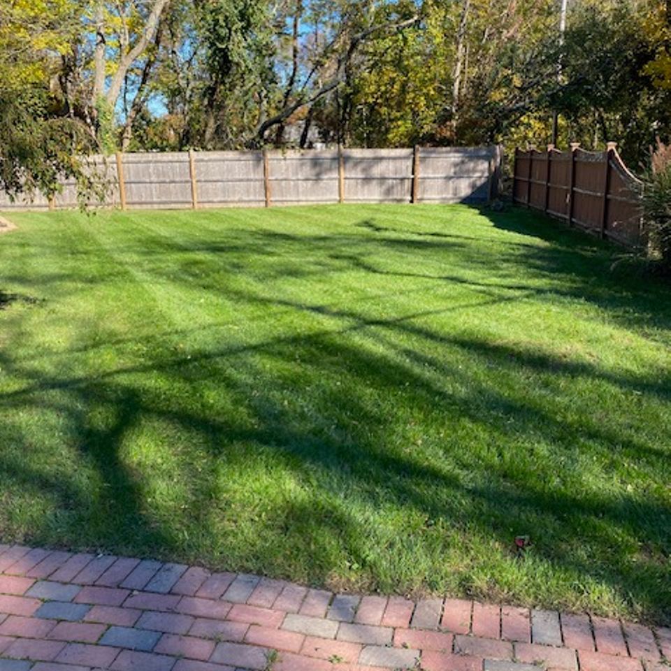 Sullivan back lawn restore photo after