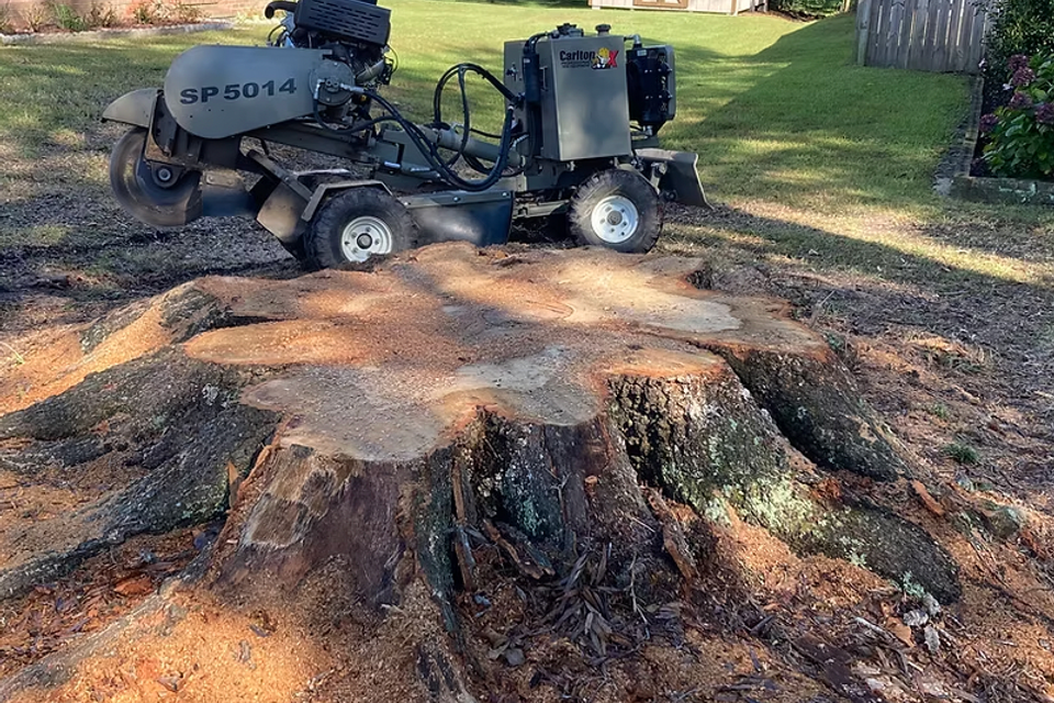 Screen shot 2026 02 27 at 11.13.03 am