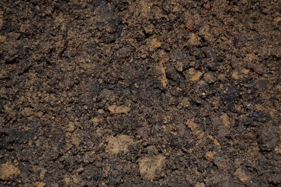 Potting Soil Near Vinemont