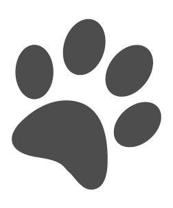 Lacey's Best Grooming Salons