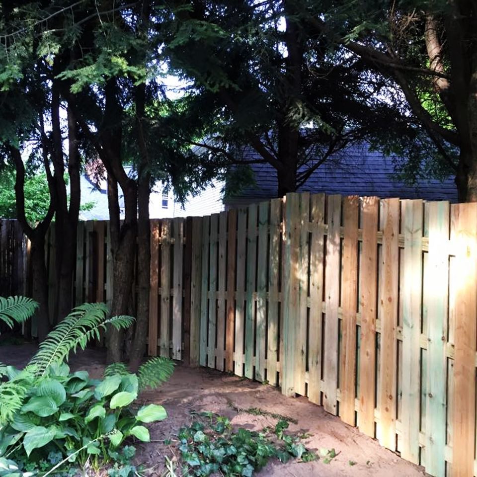 Natale fence