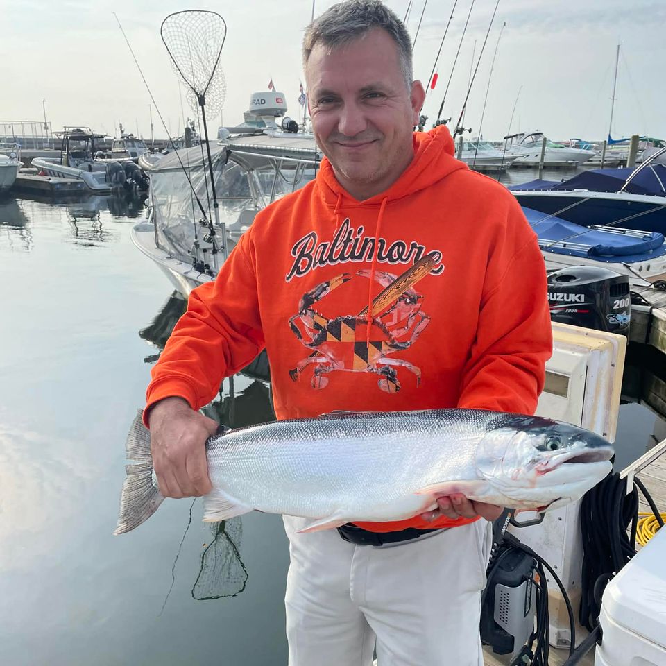 7c2d2593 d17e 47e6 89b0 16b4c31ddc6b