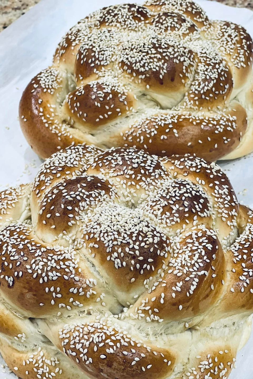 Sapir hala