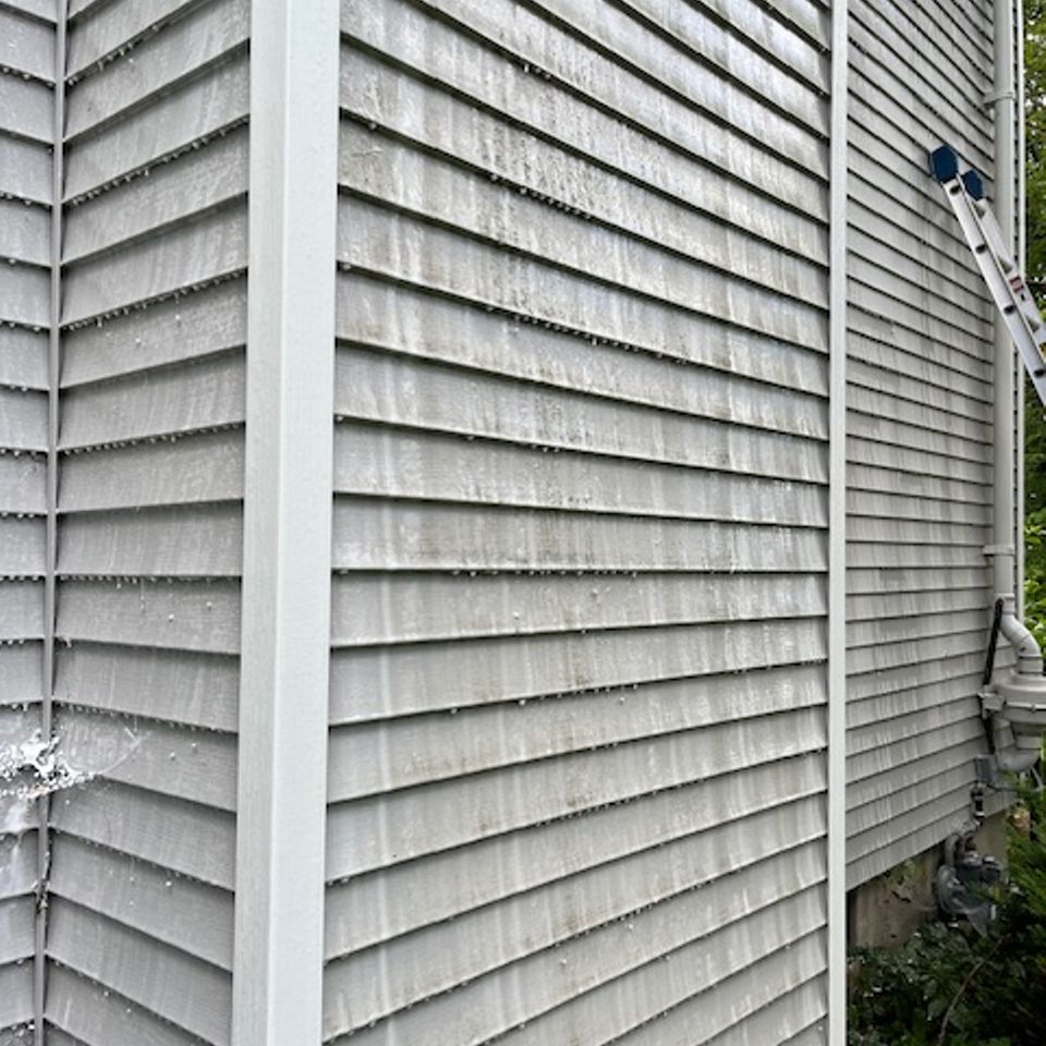 Img 0784