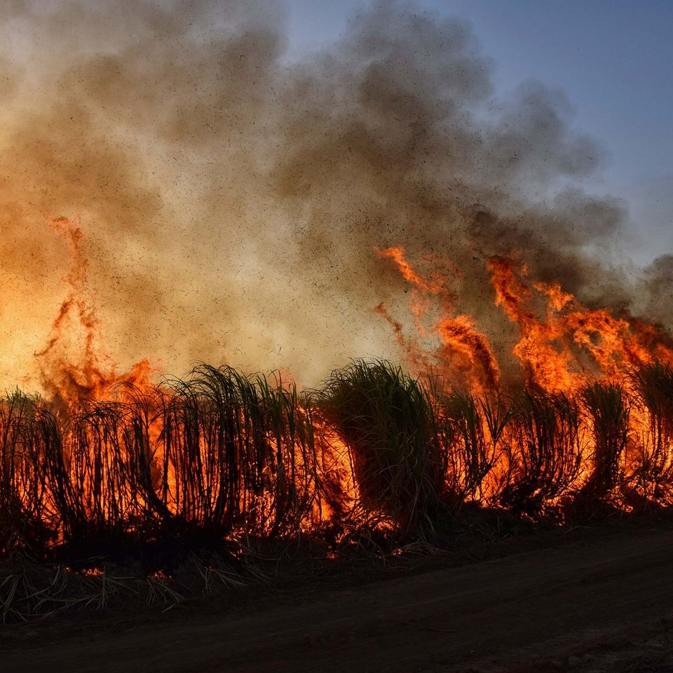 Wildfire g8159069e4 1920
