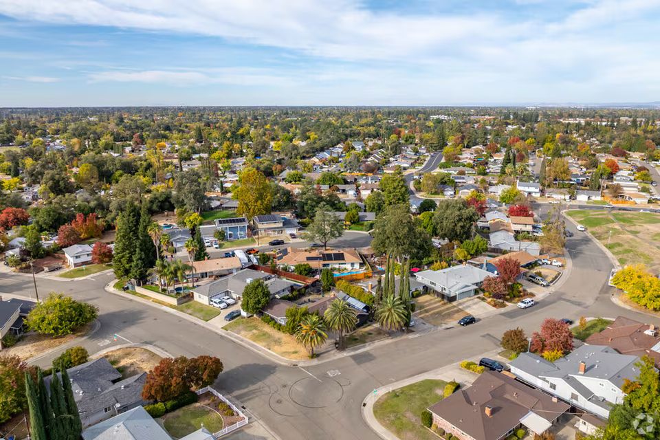 Aerial drone view of the dense heritage tree canopy in Carmichael, CA, showing the mature oaks and redwoods serviced by Above It All Tree Care.