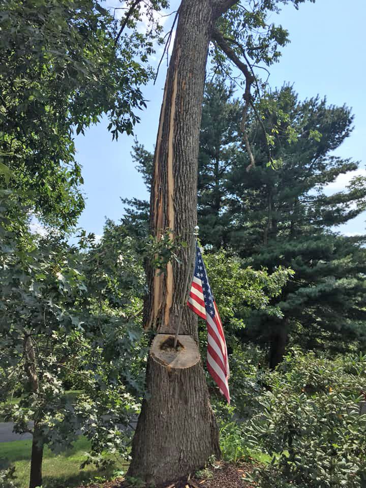 Stormdamage