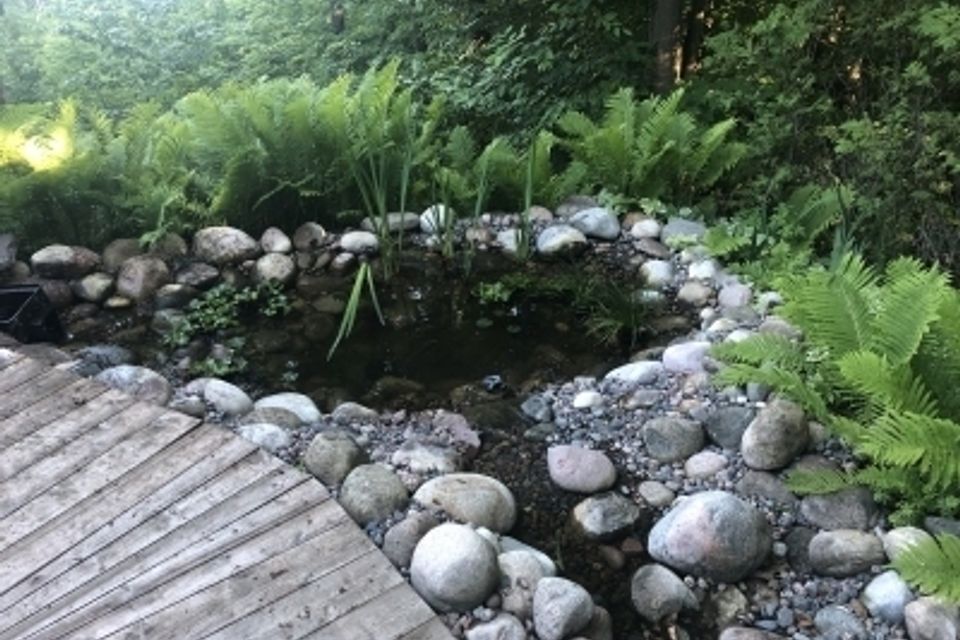 Img 0193