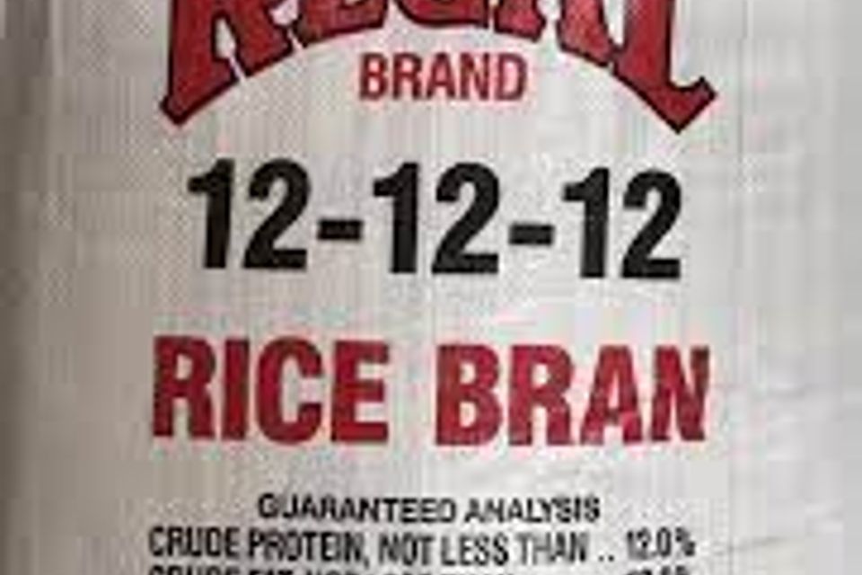Regalricebran
