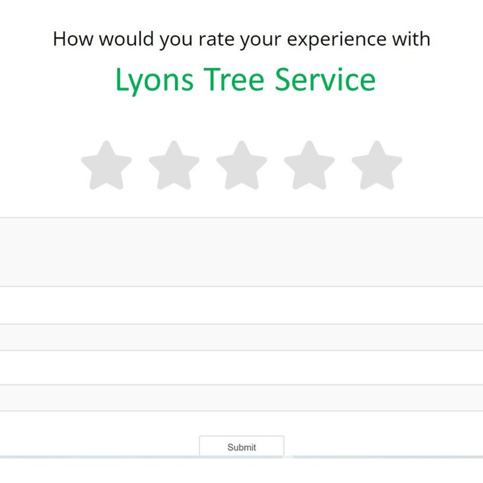 Customer review form for Lyons Tree Service in Roseville, CA, showcasing our 5-star reputation for professional tree removal and pruning services