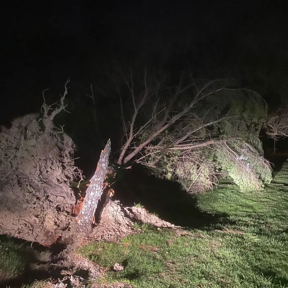 Storm2