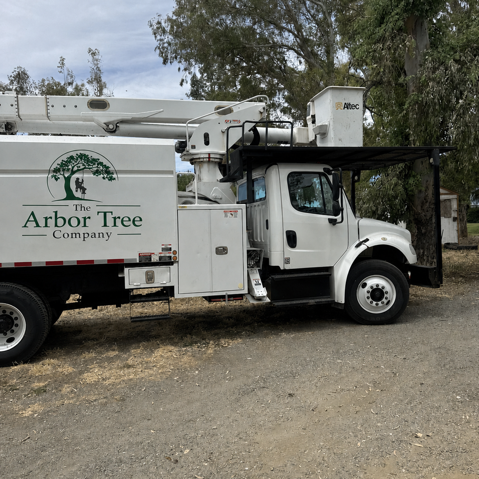 The Arbor Tree Service Company truck loaded with logs and debris for hauling