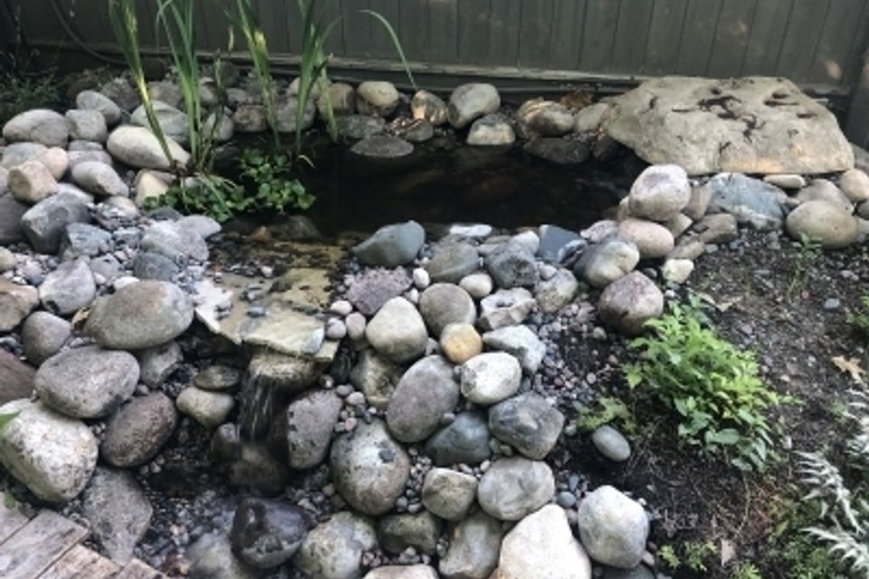 Img 0192