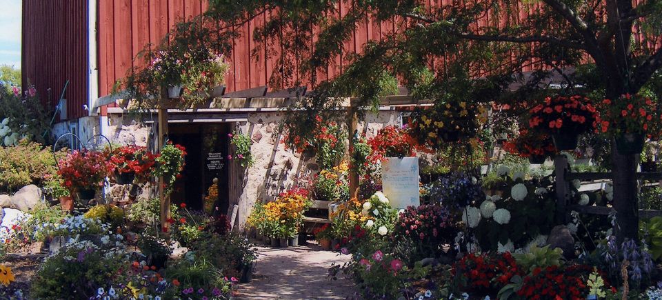 Millhome nursery 820160210 24172 1p7iej4
