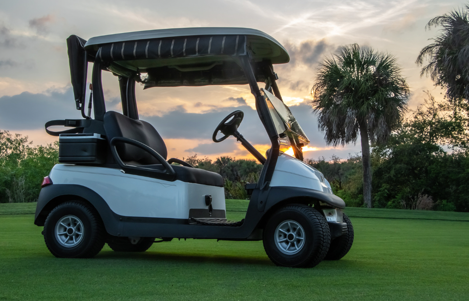 Debnam's Golf Carts, Debnam's Golf Carts Wake County, Wake County Golf Carts, Golf Carts Service Knightdale