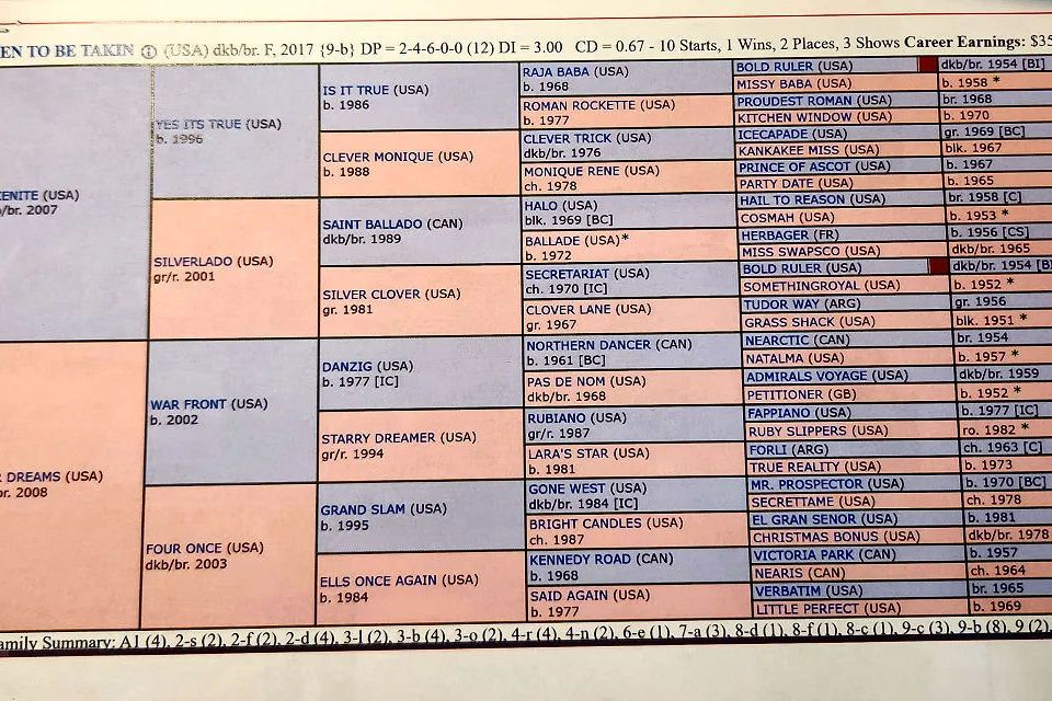 Aikenpedigree
