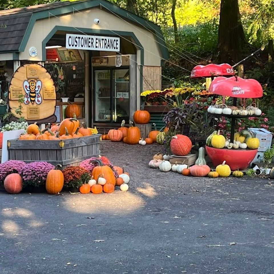 Af1qipohfhhclhbfpjpsrjvwnqhak3dkdujyvtuokr7n s812 k no