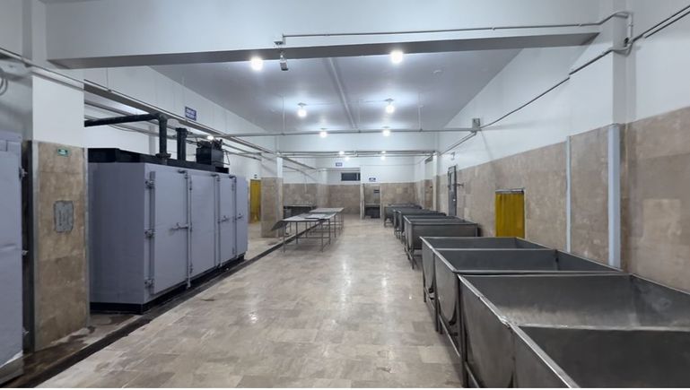 Whatsapp image 2025 11 04 at 1.51.50 pm