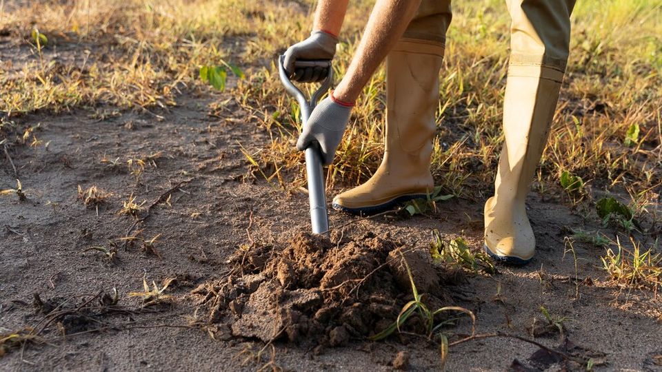 Person planting tree countryside 23 2149401182