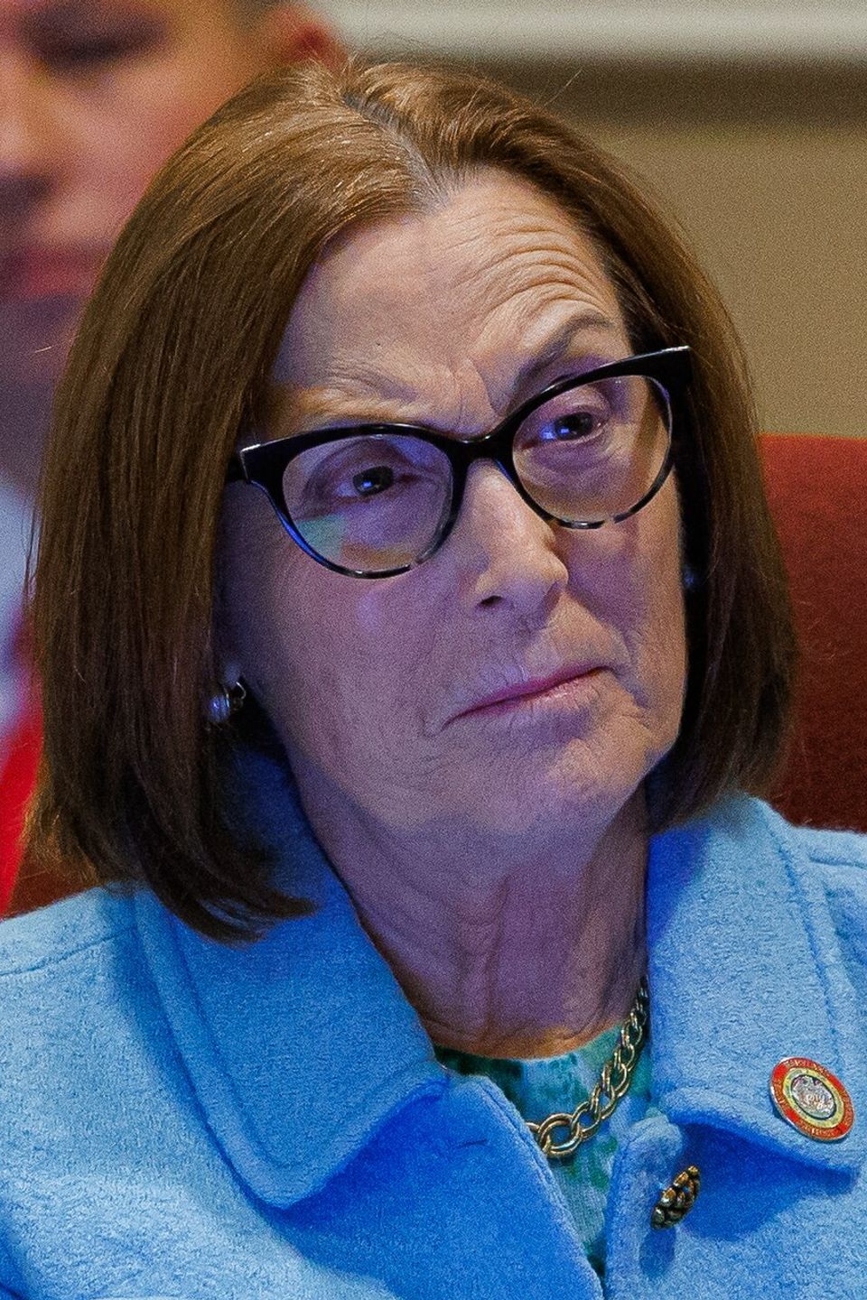 Bill testimony sb295 (54281828094) (cropped)