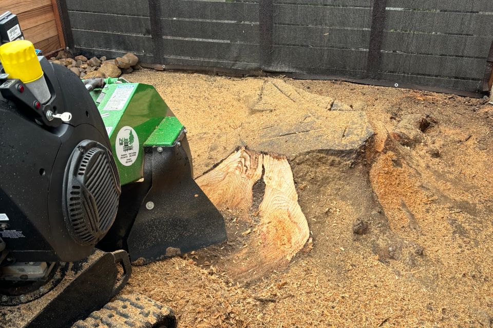 Zamorastump