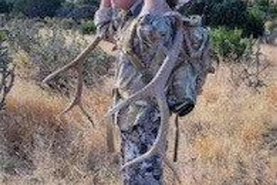 John harris with his awesome bull elk 2021