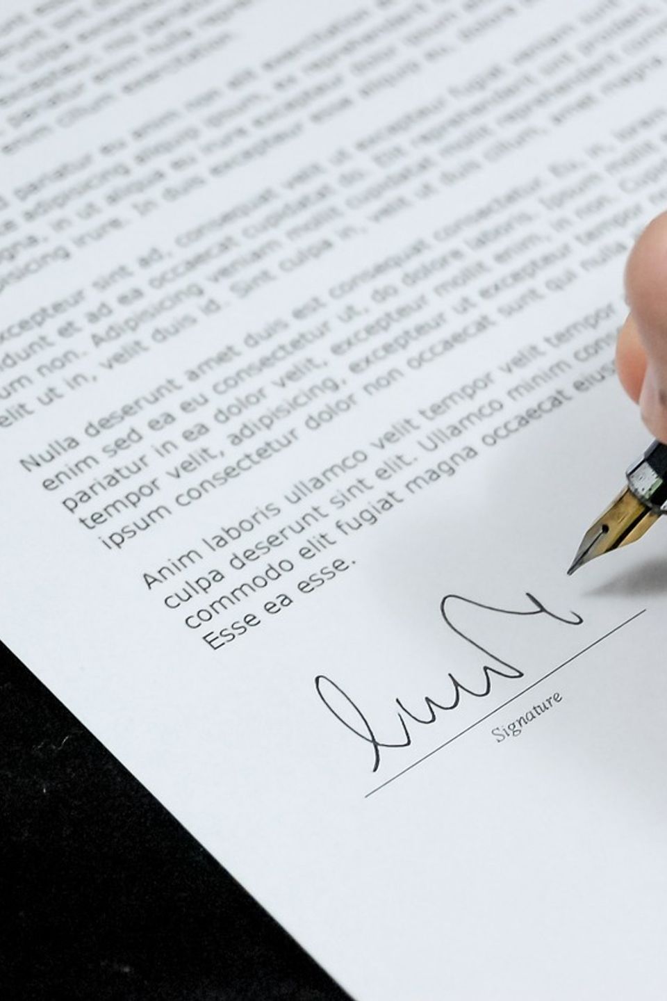 Document 428335 128020170801 14121 1eslemk